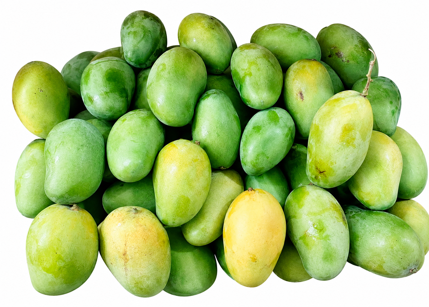 Amropali Aam